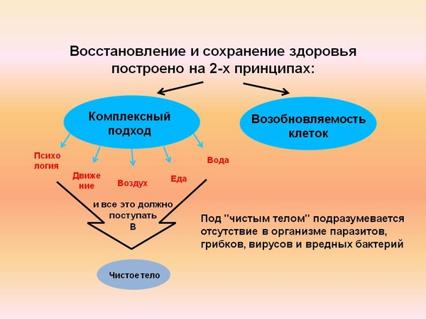 Восстановление здоровья. Концепция здоровья. Основные концепции здоровья человека. Концепция клеточного питания. Современная концепция здоровья.